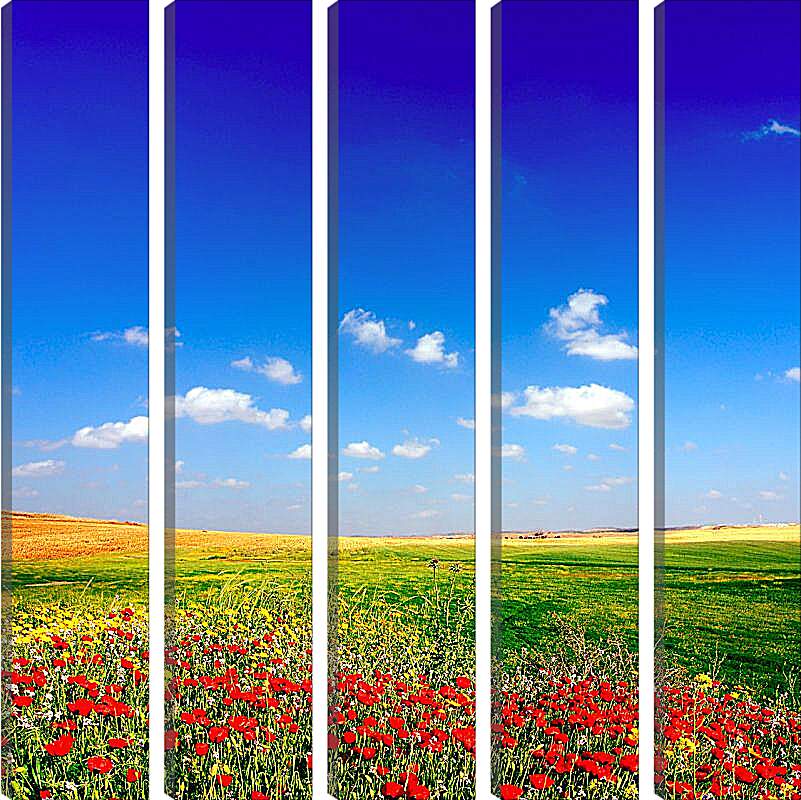 Модульная картина - Поле цветов и небо