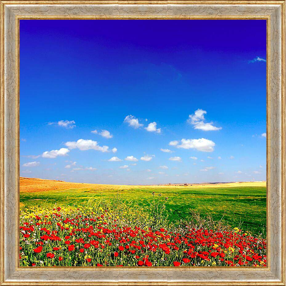 Картина в раме - Поле цветов и небо