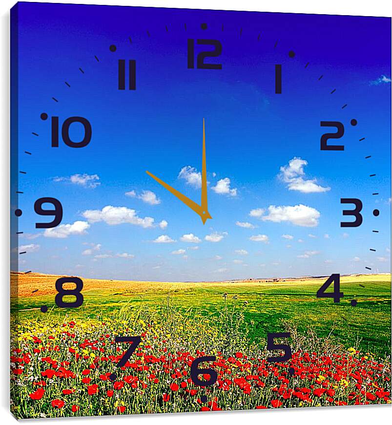 Часы картина - Поле цветов и небо