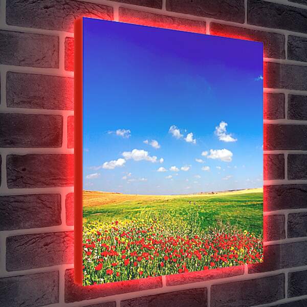 Лайтбокс световая панель - Поле цветов и небо