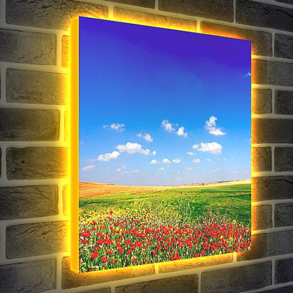 Лайтбокс световая панель - Поле цветов и небо