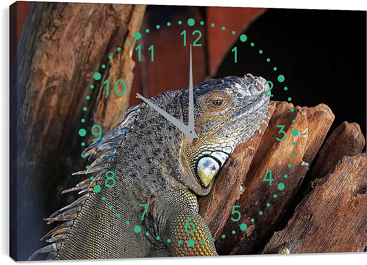 Часы картина - Рептилии