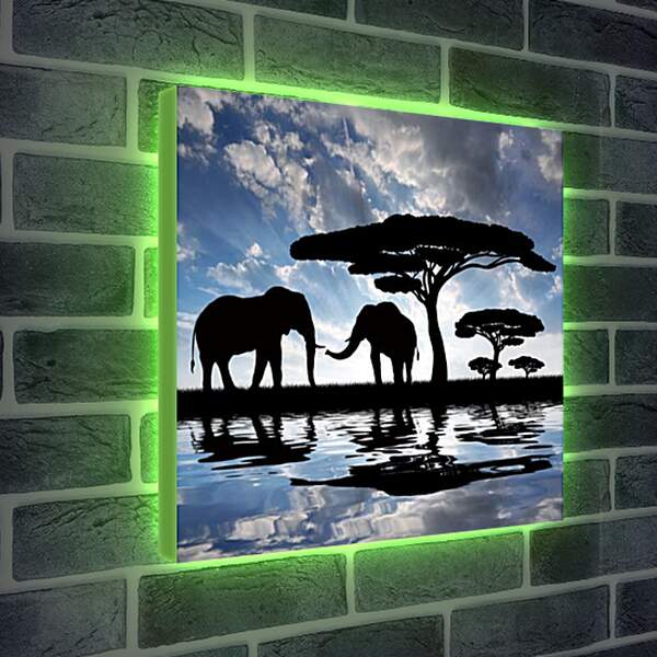 Лайтбокс световая панель - Африка