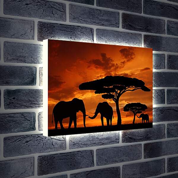 Лайтбокс световая панель - Африка