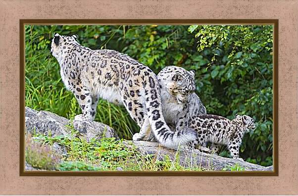 Картина в раме - leopard - Барс