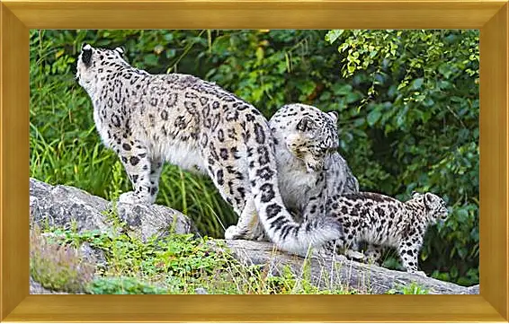 Картина в раме - leopard - Барс