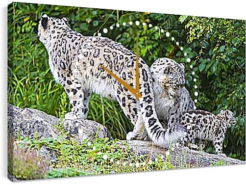 Часы картина - leopard - Барс