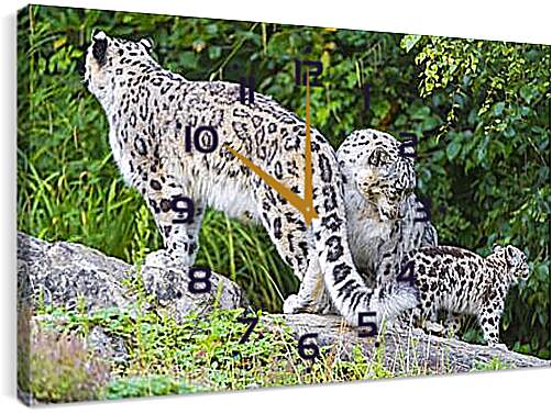 Часы картина - leopard - Барс
