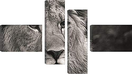 Модульная картина - leon - лев