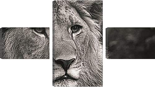 Модульная картина - leon - лев