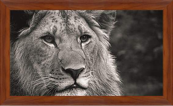 Картина в раме - leon - лев