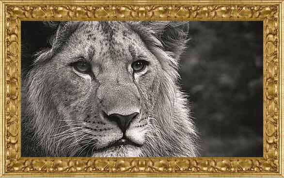 Картина в раме - leon - лев