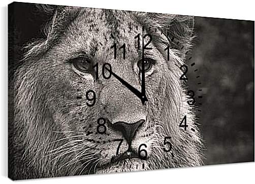 Часы картина - leon - лев