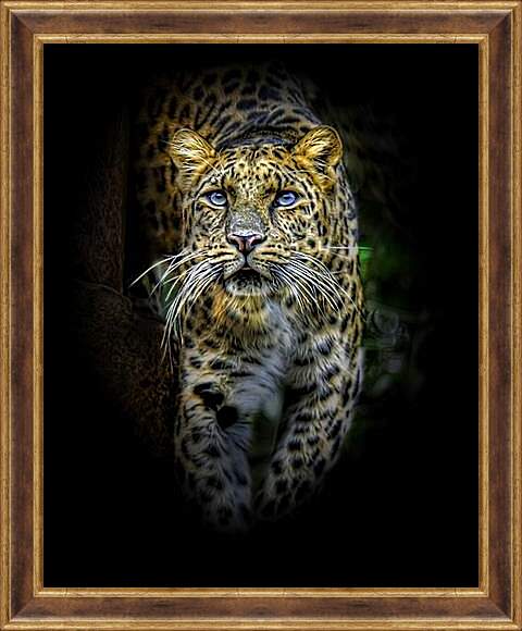 Картина в раме - леопард