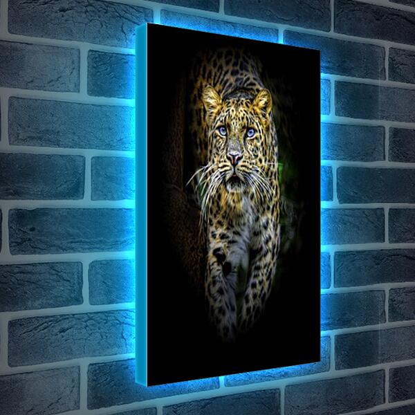 Лайтбокс световая панель - леопард