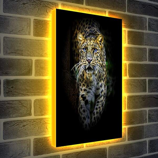 Лайтбокс световая панель - леопард