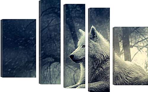 Модульная картина - wolf - волк