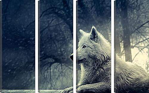Модульная картина - wolf - волк