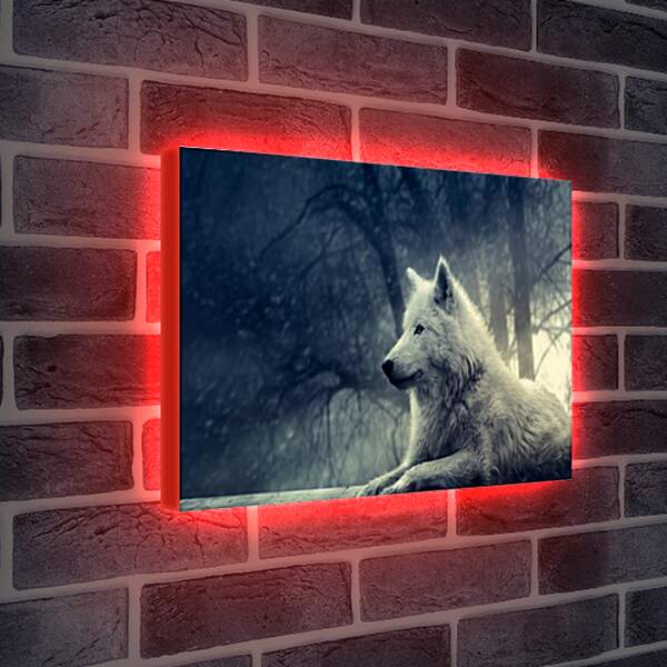 Лайтбокс световая панель - wolf - волк
