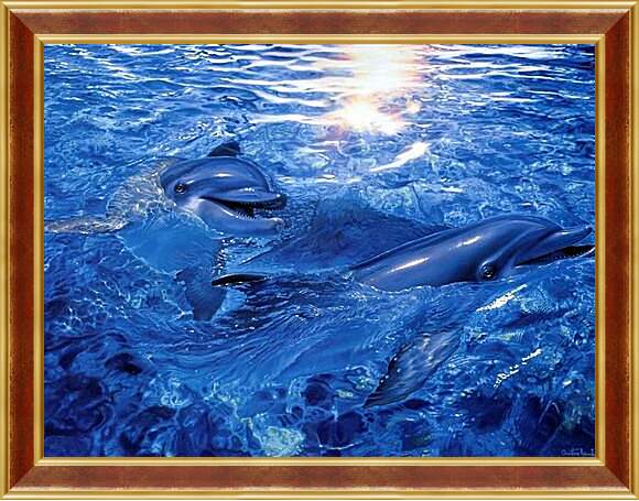 Картина в раме - дельфины