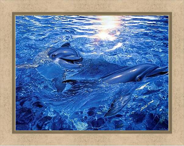 Картина в раме - дельфины