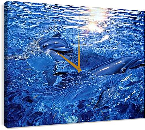 Часы картина - дельфины