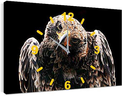 Часы картина - Орел
