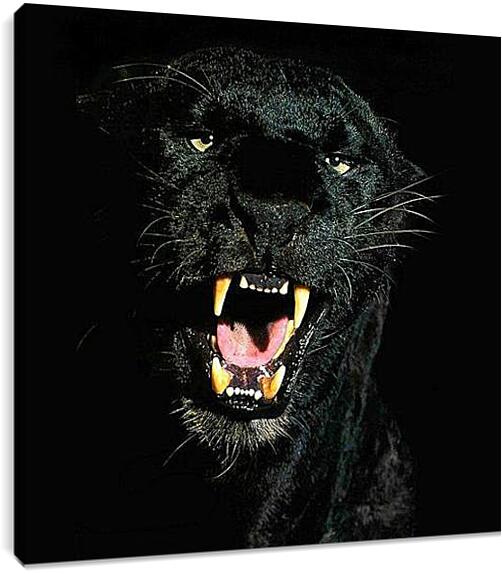 Постер и плакат - Взгляд пантеры