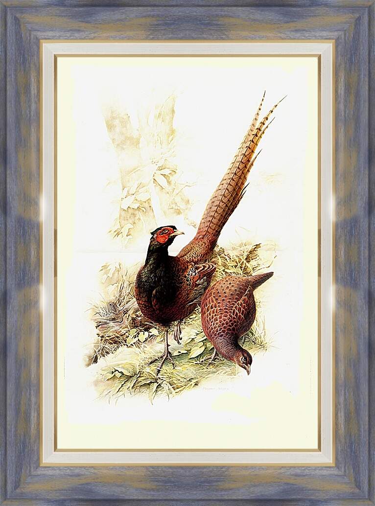 Картина в раме - Пара фазанов