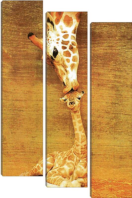Модульная картина - Жираф и жирафик