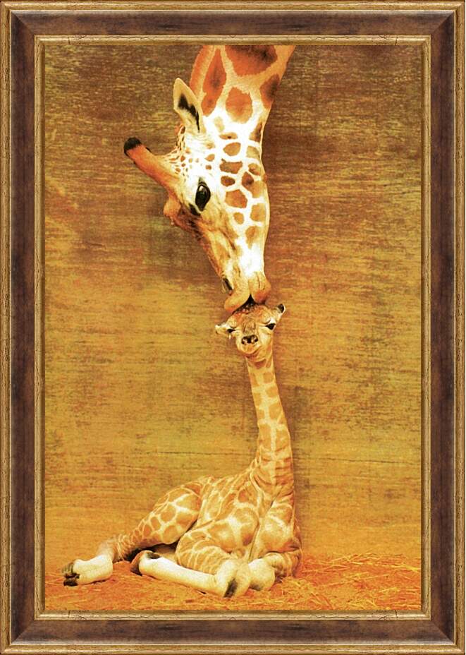 Картина в раме - Жираф и жирафик