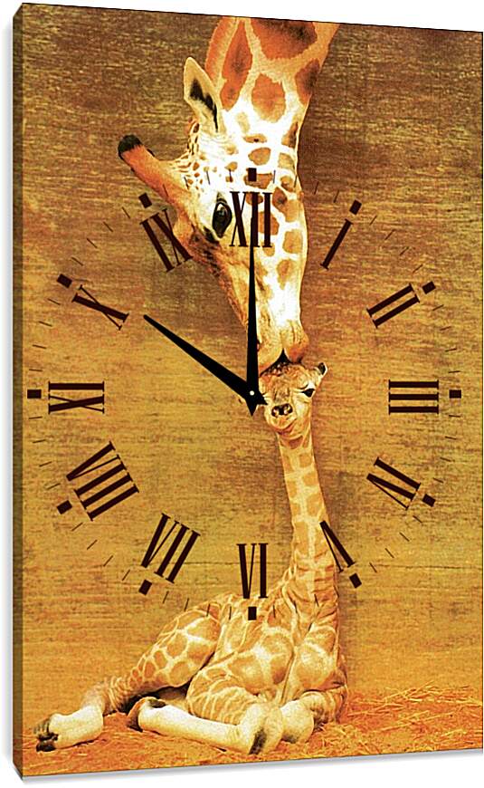Часы картина - Жираф и жирафик