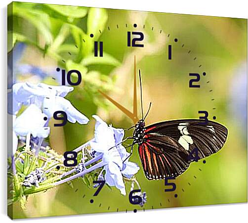 Часы картина - Бабочка