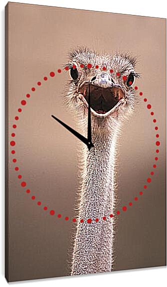 Часы картина - Ostrich - Страус
