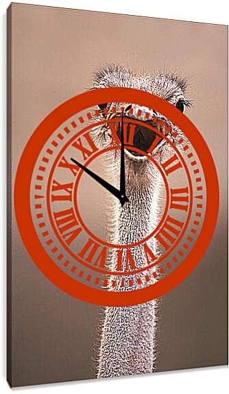 Часы картина - Ostrich - Страус