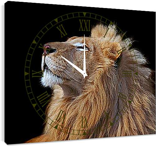 Часы картина - Лев (Царь зверей)