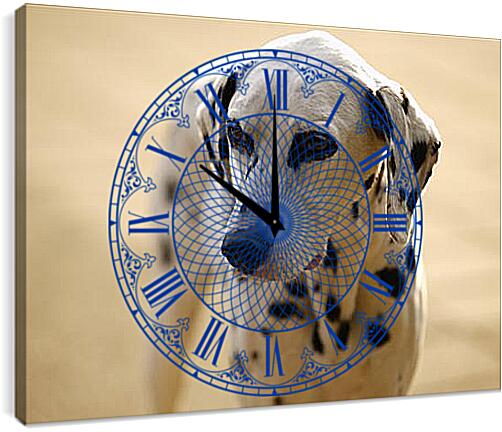 Часы картина - Далматинец