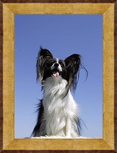 Картина в раме - Собака на диване
