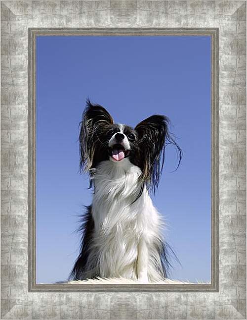 Картина в раме - Собака на диване