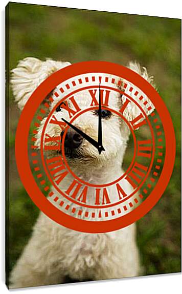 Часы картина - Собаки