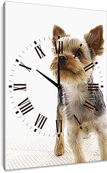 Часы картина - Собаки