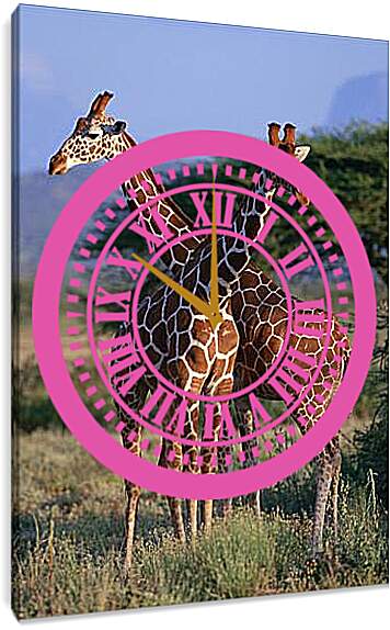 Часы картина - Два жирафа
