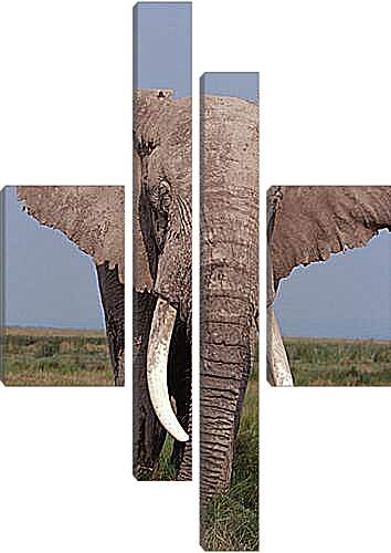 Модульная картина - Слон