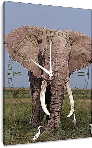 Часы картина - Слон