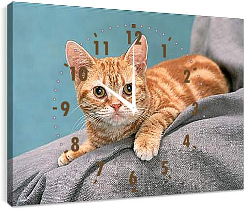 Часы картина - Рыжий котенок