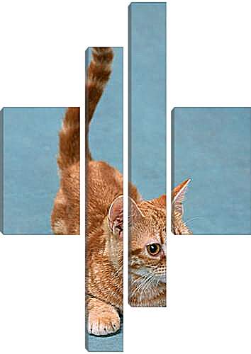 Модульная картина - Игривый котенок