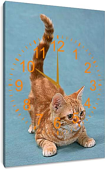 Часы картина - Игривый котенок