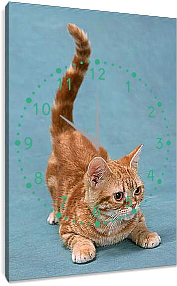 Часы картина - Игривый котенок