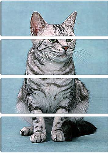Модульная картина - Кошки