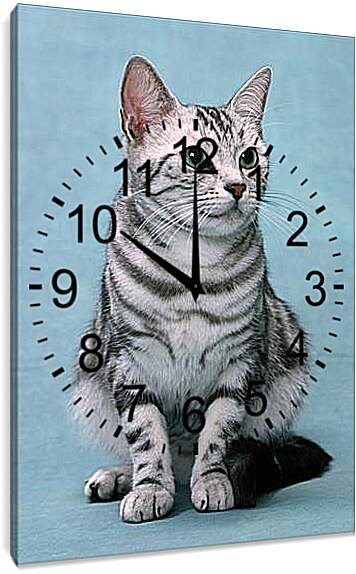 Часы картина - Кошки